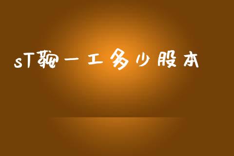 sT鞍一工多少股本_https://m.jnlaobingbanjia.com_金融监管_第1张