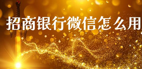 招商银行微信怎么用_https://m.jnlaobingbanjia.com_基金市场_第1张