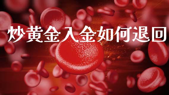 炒黄金入金如何退回_https://m.jnlaobingbanjia.com_理财规划_第1张