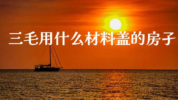 三毛用什么材料盖的房孑_https://m.jnlaobingbanjia.com_基金市场_第1张