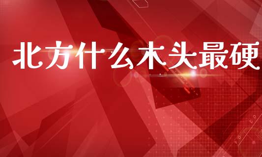 北方什么木头最硬_https://m.jnlaobingbanjia.com_理财规划_第1张