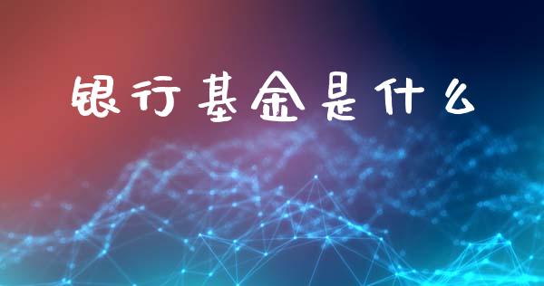 银行基金是什么_https://m.jnlaobingbanjia.com_金融监管_第1张