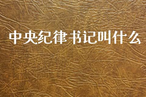 中央纪律书记叫什么_https://m.jnlaobingbanjia.com_基金市场_第1张