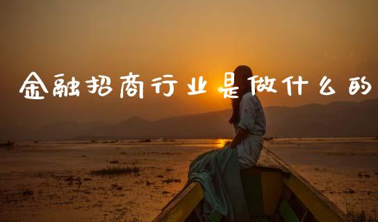 金融招商行业是做什么的_https://m.jnlaobingbanjia.com_股市新闻_第1张