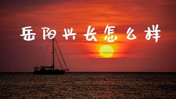 岳阳兴长怎么样_https://m.jnlaobingbanjia.com_股市新闻_第1张