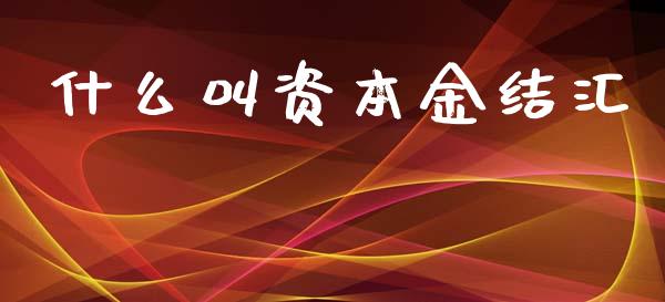 什么叫资本金结汇_https://m.jnlaobingbanjia.com_基金市场_第1张