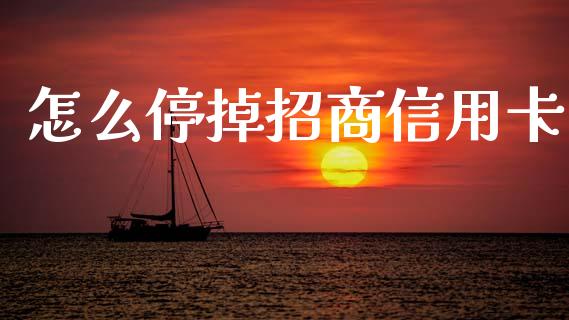 怎么停掉招商信用卡_https://m.jnlaobingbanjia.com_股市新闻_第1张
