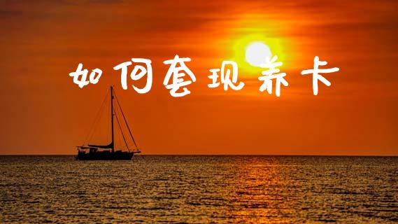 如何套现养卡_https://m.jnlaobingbanjia.com_理财规划_第1张