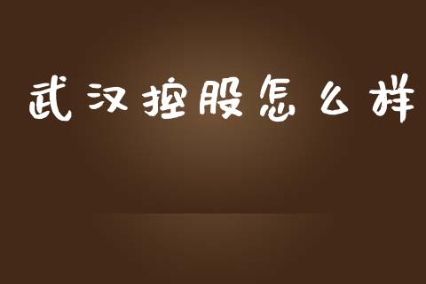 武汉控股怎么样_https://m.jnlaobingbanjia.com_基金市场_第1张