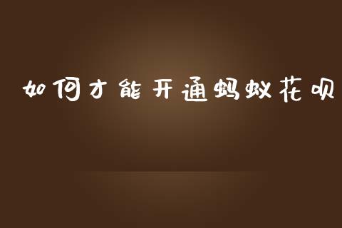 如何才能开通蚂蚁花呗_https://m.jnlaobingbanjia.com_股市新闻_第1张