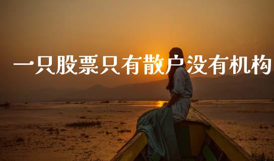 一只股票只有散户没有机构_https://m.jnlaobingbanjia.com_金融监管_第1张
