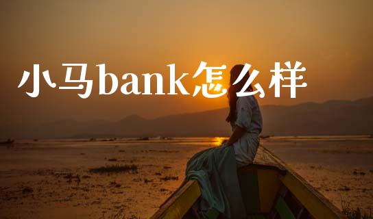 小马bank怎么样_https://m.jnlaobingbanjia.com_基金市场_第1张