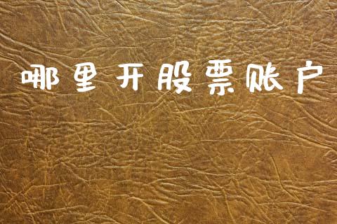 哪里开股票账户_https://m.jnlaobingbanjia.com_金融监管_第1张