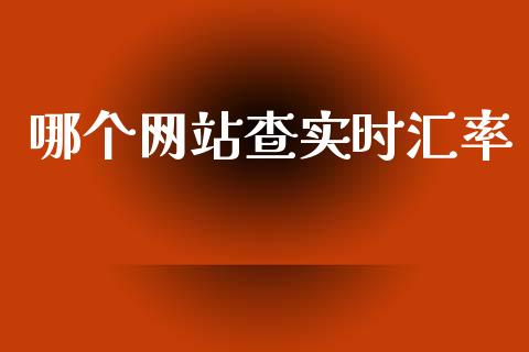 哪个网站查实时汇率_https://m.jnlaobingbanjia.com_全球市场_第1张