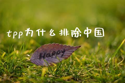 tpp为什么排除中国_https://m.jnlaobingbanjia.com_理财规划_第1张