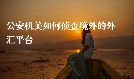 公安机关如何侦查境外的外汇平台_https://m.jnlaobingbanjia.com_区块链_第1张