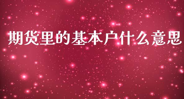 期货里的基本户什么意思_https://m.jnlaobingbanjia.com_金融监管_第1张