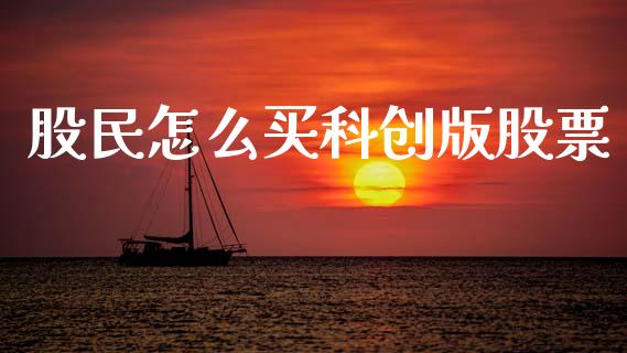 股民怎么买科创版股票_https://m.jnlaobingbanjia.com_股市新闻_第1张