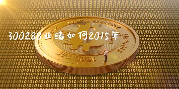 300288业绩如何2015年_https://m.jnlaobingbanjia.com_区块链_第1张