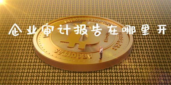 企业审计报告在哪里开_https://m.jnlaobingbanjia.com_基金市场_第1张