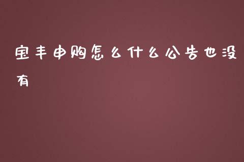 宝丰申购怎么什么公告也没有_https://m.jnlaobingbanjia.com_区块链_第1张