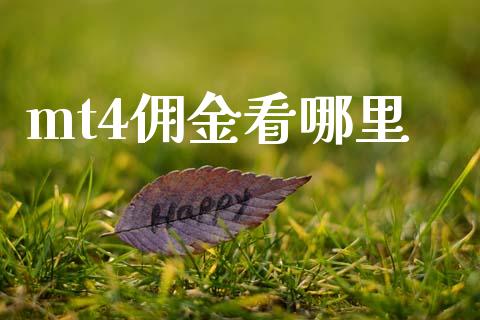 mt4佣金看哪里_https://m.jnlaobingbanjia.com_理财规划_第1张