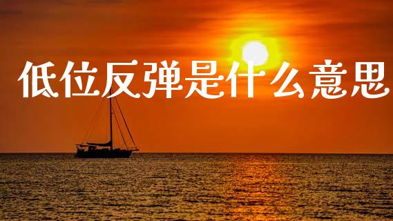 低位反弹是什么意思_https://m.jnlaobingbanjia.com_金融监管_第1张