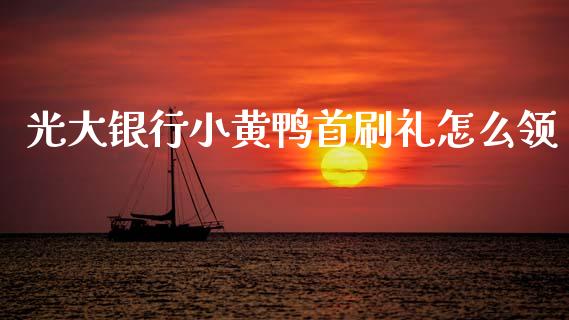 光大银行小黄鸭首刷礼怎么领_https://m.jnlaobingbanjia.com_理财规划_第1张