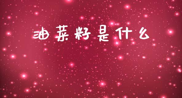油菜籽是什么_https://m.jnlaobingbanjia.com_基金市场_第1张