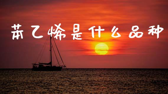 苯乙烯是什么品种_https://m.jnlaobingbanjia.com_股市新闻_第1张