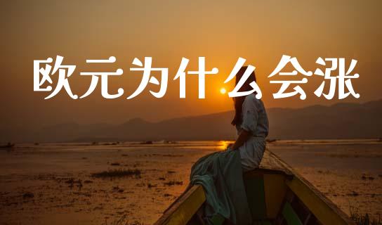 欧元为什么会涨_https://m.jnlaobingbanjia.com_金融监管_第1张