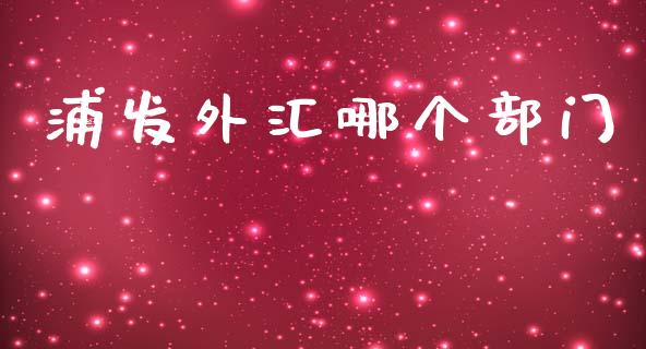 浦发外汇哪个部门_https://m.jnlaobingbanjia.com_金融监管_第1张