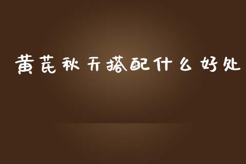 黄芪秋天搭配什么好处_https://m.jnlaobingbanjia.com_金融监管_第1张