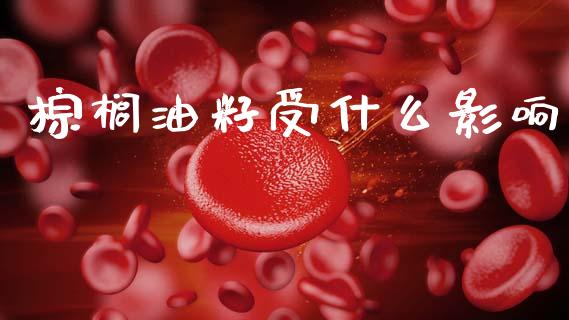 棕榈油籽受什么影响_https://m.jnlaobingbanjia.com_基金市场_第1张