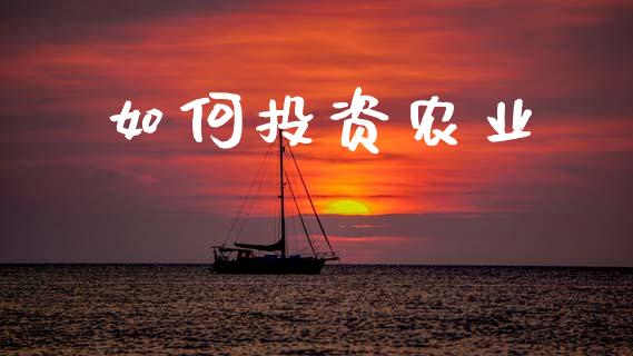 如何投资农业_https://m.jnlaobingbanjia.com_理财规划_第1张