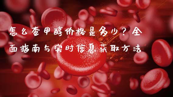怎么查甲醇价格是多少？全面指南与实时信息获取方法_https://m.jnlaobingbanjia.com_全球市场_第1张
