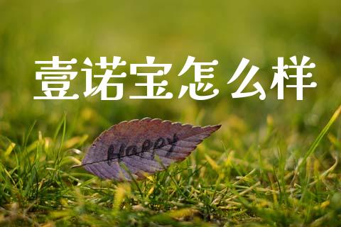 壹诺宝怎么样_https://m.jnlaobingbanjia.com_股市新闻_第1张