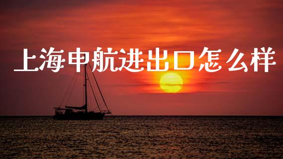 上海申航进出口怎么样_https://m.jnlaobingbanjia.com_股市新闻_第1张