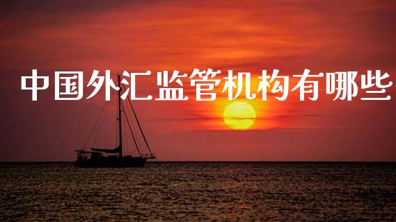 中国外汇监管机构有哪些_https://m.jnlaobingbanjia.com_全球市场_第1张