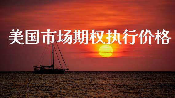 美国市场期权执行价格_https://m.jnlaobingbanjia.com_全球市场_第1张