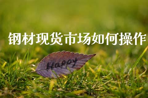 钢材现货市场如何操作_https://m.jnlaobingbanjia.com_金融监管_第1张