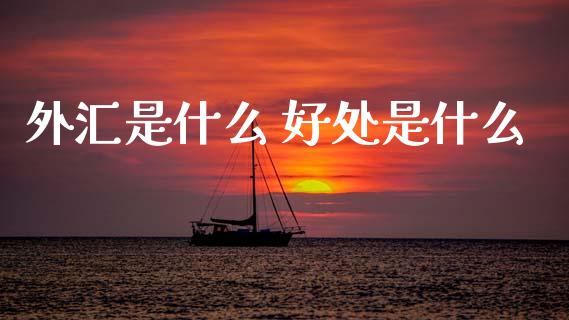外汇是什么 好处是什么_https://m.jnlaobingbanjia.com_基金市场_第1张