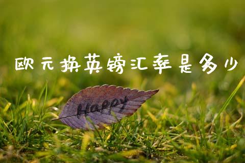 欧元换英镑汇率是多少_https://m.jnlaobingbanjia.com_股市新闻_第1张