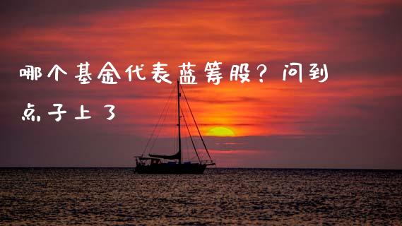 哪个基金代表蓝筹股？问到点子上了_https://m.jnlaobingbanjia.com_基金市场_第1张