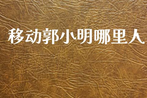 移动郭小明哪里人_https://m.jnlaobingbanjia.com_金融监管_第1张