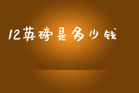 12英磅是多少钱_https://m.jnlaobingbanjia.com_金融监管_第1张