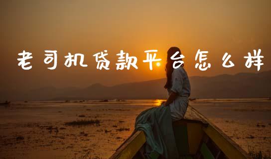老司机贷款平台怎么样_https://m.jnlaobingbanjia.com_基金市场_第1张