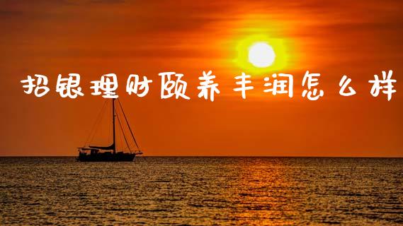 招银理财颐养丰润怎么样_https://m.jnlaobingbanjia.com_理财规划_第1张