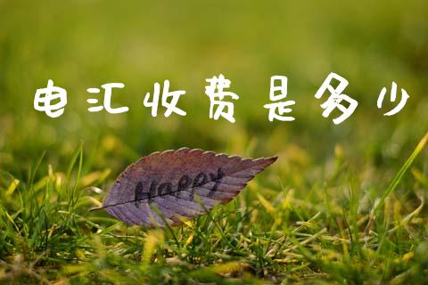 电汇收费是多少_https://m.jnlaobingbanjia.com_区块链_第1张