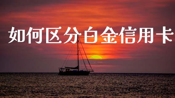 如何区分白金信用卡_https://m.jnlaobingbanjia.com_理财规划_第1张